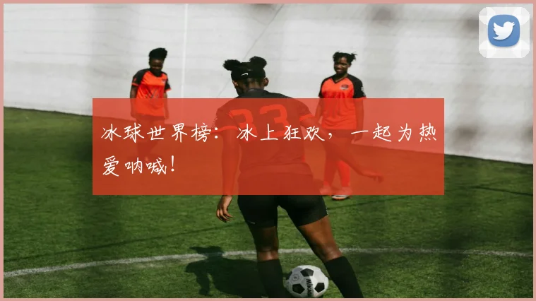 冰球世界榜：冰上狂欢，一起为热爱呐喊！
